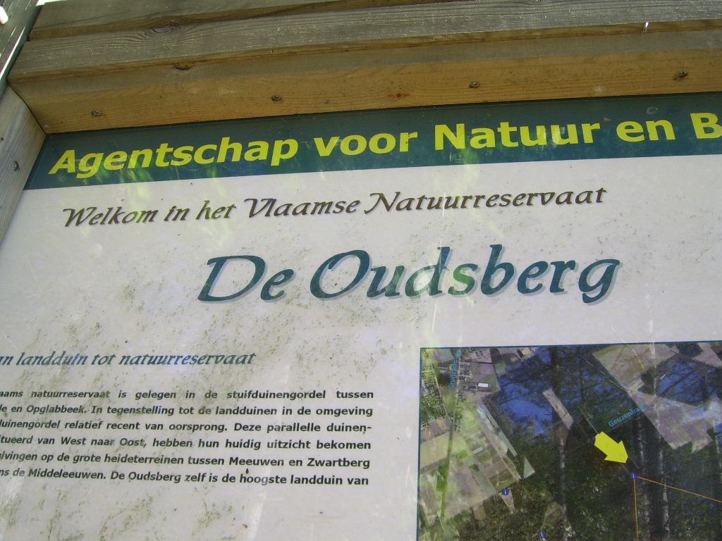 Bosbeekvallei Opoeteren Exteriör bild